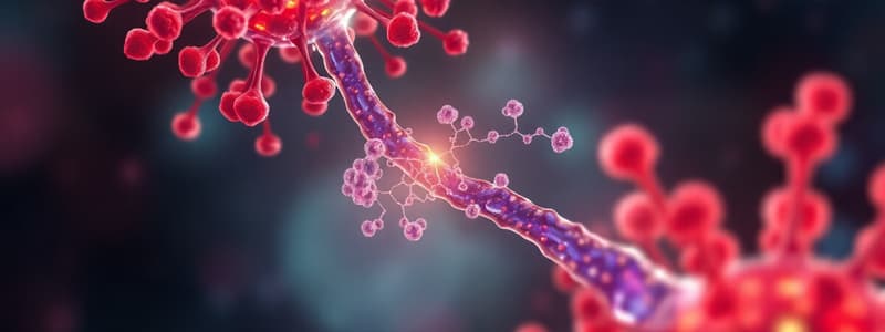 MHC Class II Molecules & Antigen Processing