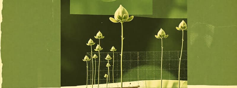 Photosynthesis and Starch Test in Plants