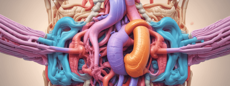 Digestive System Chapter 23: Overview and GI Tract Layers