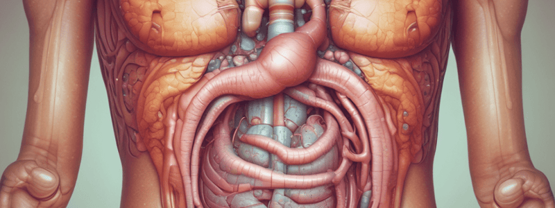 Functional Constipation Causes and Diagnosis