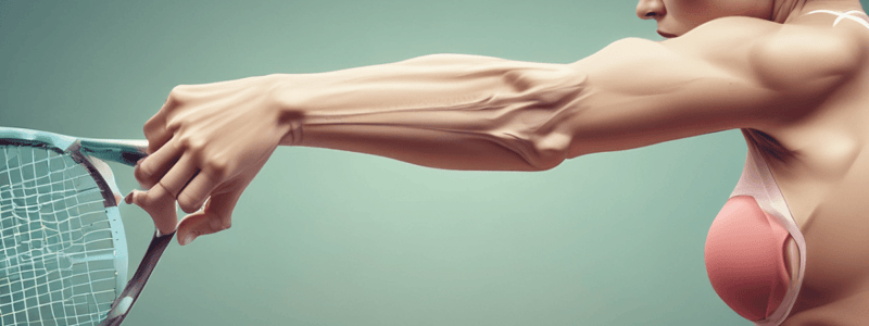 Tennis Elbow Overview