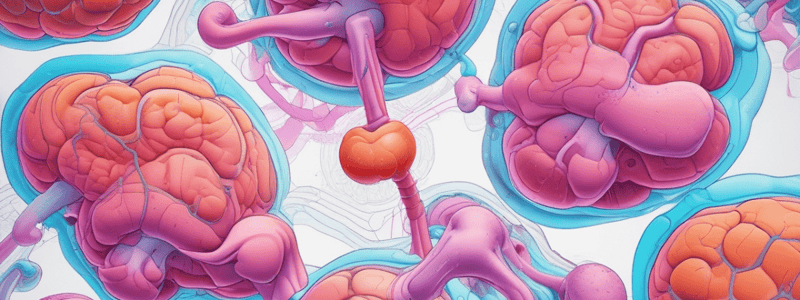 Uronephrology Labs: Renal Function Tests Differentiation