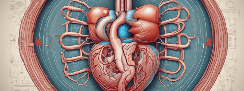 Urinary System Microanatomy- Pt 2