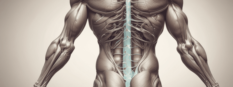 Physiology LE 1: Muscle Physiology II