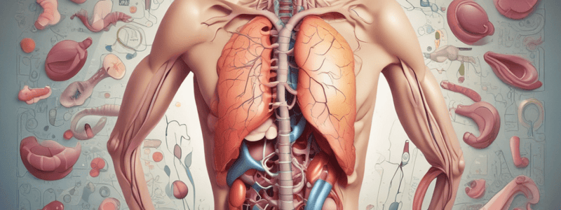 Gastric Disorders: Pyloric Muscle Hypertrophy and Gastric Dilatation