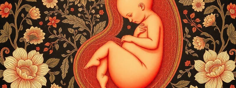 Desenvolvimento Fetal e Identidade