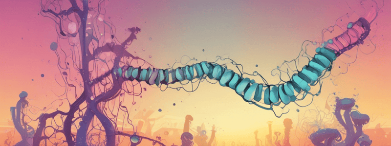 PCR Steps: Primer Binding and Extension