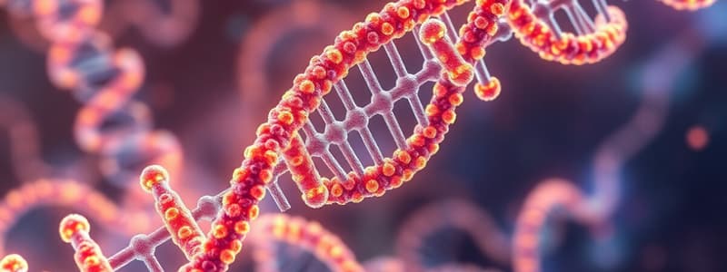 DNA and RNA structures