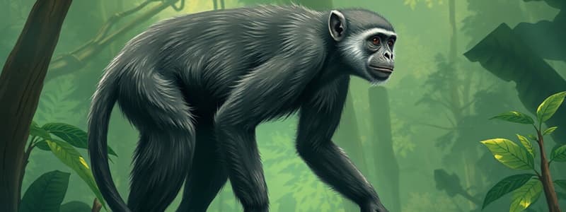 Primate Morphology and Taxonomy Quiz