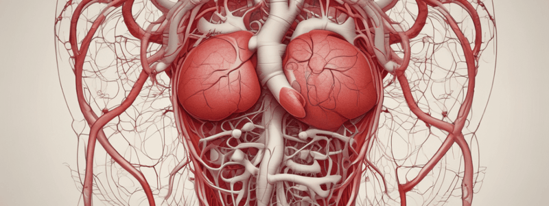 Gr 9 NATURAL SCIENCES: CH 1.4 Circulation and respiration