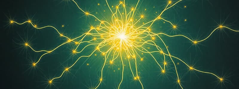 Electric Dipole Moment and Field Lines