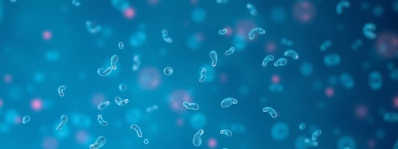 Cell Lines and Cell Cultures Overview