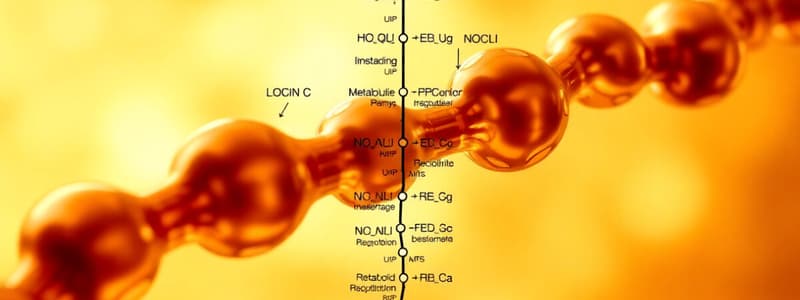 Metabolism Quiz