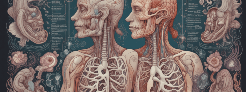 Respiratory System Anatomy and Physiology