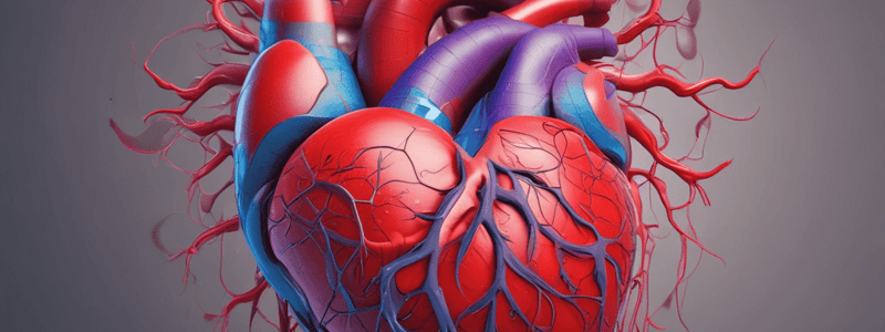 Blood Flow Modeling Activity: Heart Model Creation