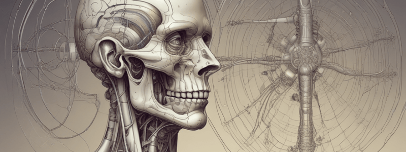 Localización de la Estimulación: Dermatomas en el Humano