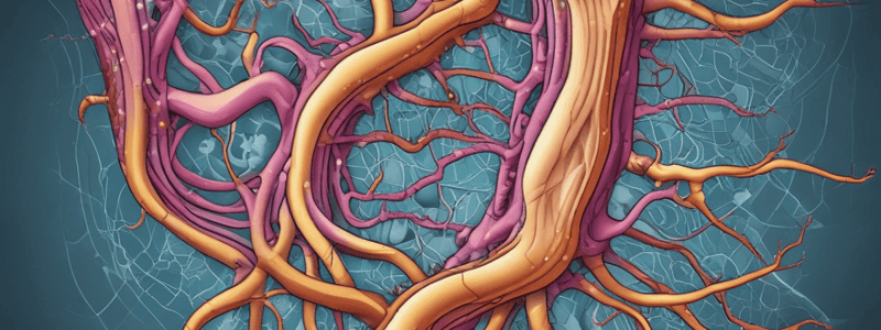 Anatomy LE 1: Muscle and Nervous Tissue