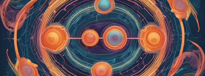 Cell Cycle Phases Overview