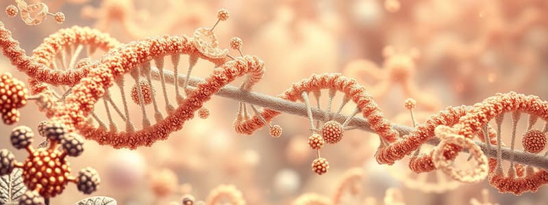 RNA Polymerase Overview and Structure