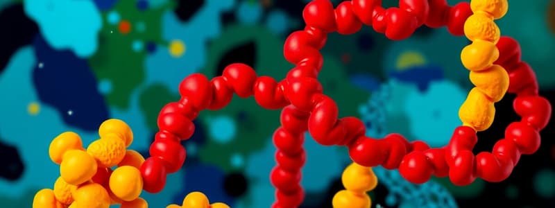 Biology Chapter 4: Protein and Carbohydrate Structures