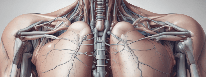 Types of Pneumothorax