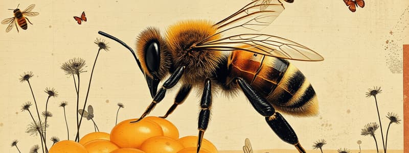 History of Apiculture in India