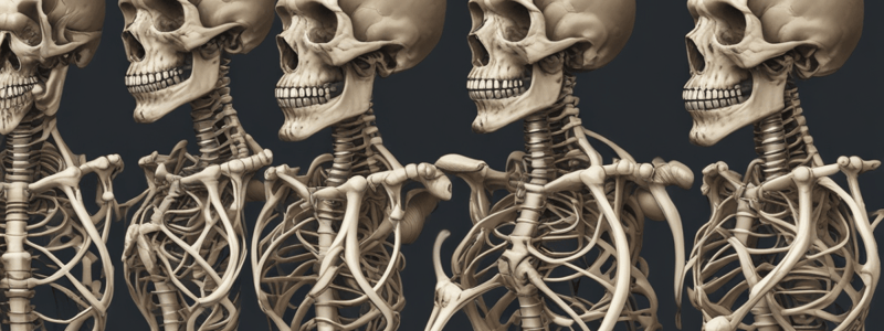 Chapter 9. Classification of Joints