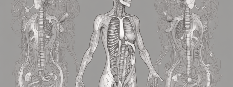 Module 10: Digestive System Anatomy and Function