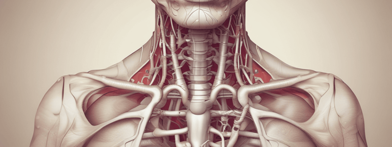 Occlusion du grêle et colique