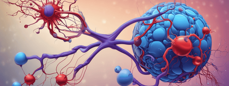 Angiotensin 2 Function and Targets