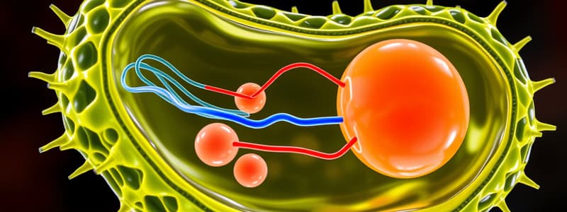 Molecular Transport Concepts