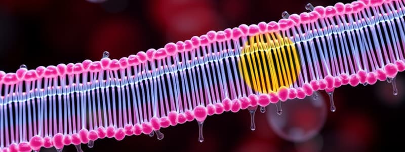 Cellular Transport Mechanisms Quiz