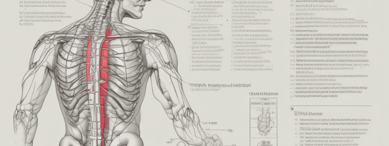 Week 13- Phys med all tests