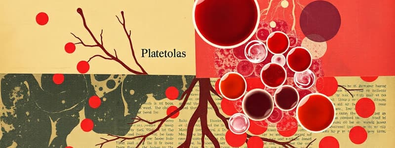 Componentes de la Sangre