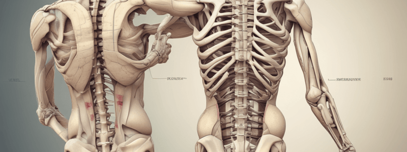 Ligamentous Support in Spinal Stability