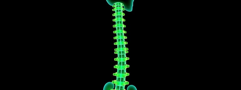 Spinal Stability and Fryette's Laws Quiz