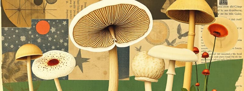 Fungal Identification and Classification Quiz