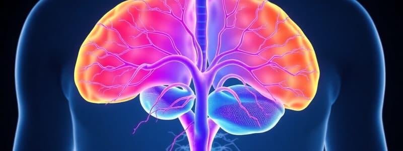 Functions and Divisions of the Nervous System