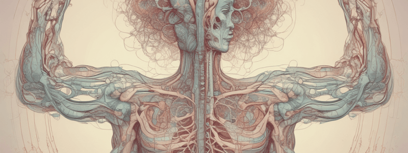 Psychology: Stress and Autonomic Nervous System