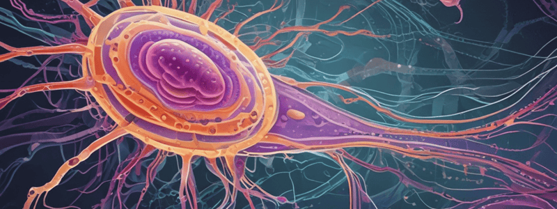 Chemotaxis and Flagella Rotation in Bacteria