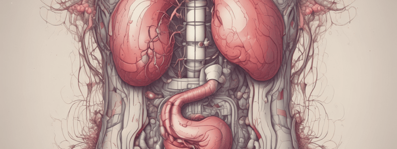 Upper Gastrointestinal Bleeding (UGIB) Quiz