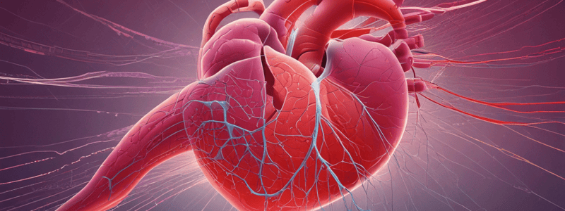 Functions of the Cardiorespiratory System