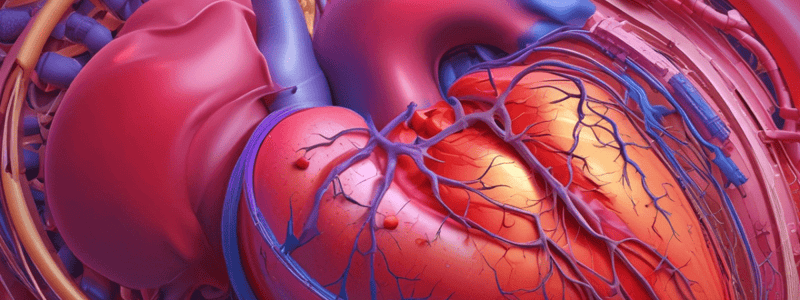 Heart Failure and Pre-Load vs After-Load