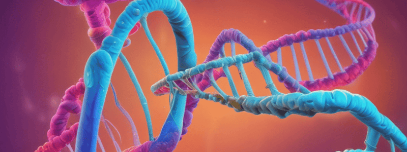 1.1 DNA: Ligging, Struktuur, en Funksies