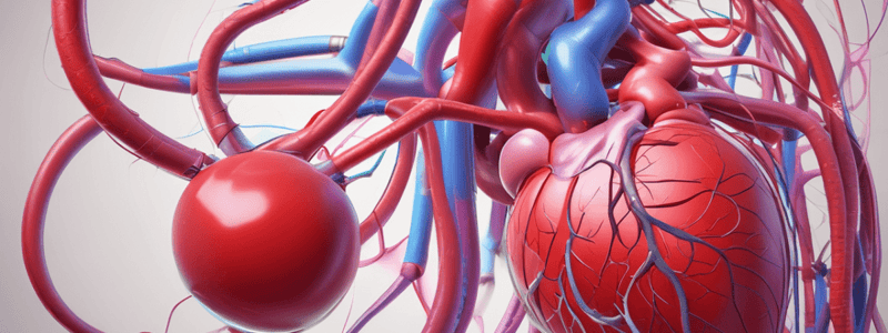 Blood Flow and Blood Pressure in the Circulatory System