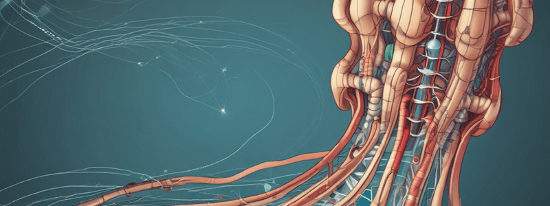 Neurophysiology: Reflexes