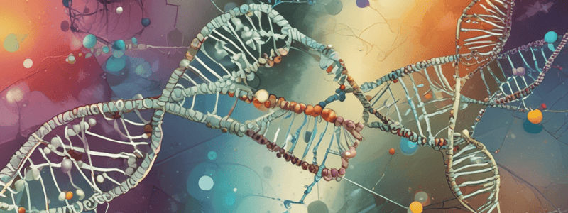 Phosphodiester Bonds in DNA and RNA