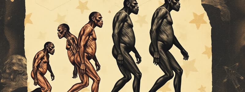 Human Evolution and Genus Homo