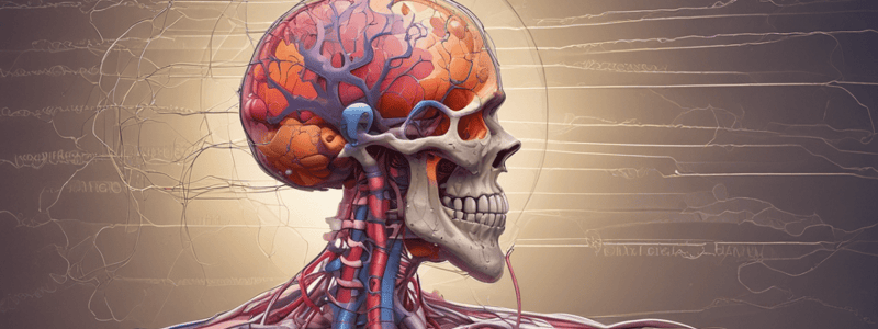 Vertebrate Nervous System and Immunity