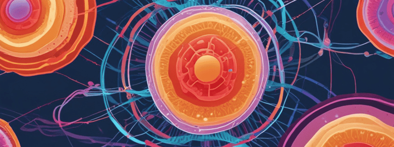 Cell Cycle Regulation: Cell Division and Proliferation